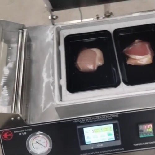 Vacuum skin packing machine (small manual PLC)