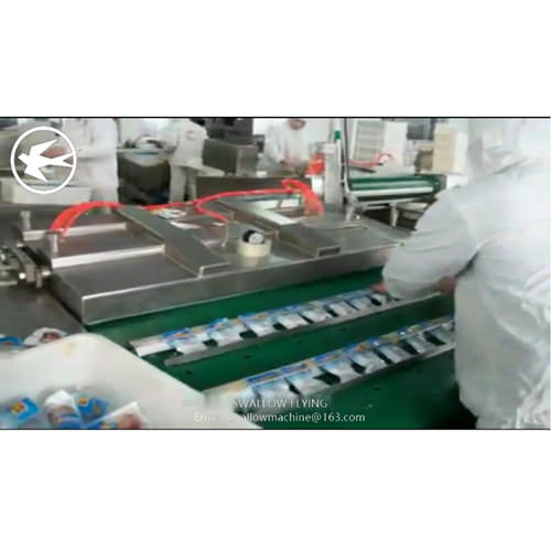 Continuous rotating belt type vacuum pack machine operation
